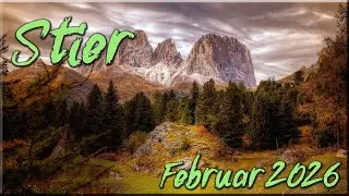 ♉ Stier - Februar 2026 ♉  -  Annährungsversuche  -