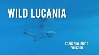 Wild LUCANIA - Scanzano Jonico x Policoro
