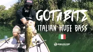 VUBBLE VACK GOT A BITE  by Italian huge bass