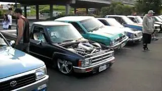 Bagged Ute.avi