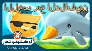 أوكتونوتس | 🏐 اللعب مع الدلافين 🐬 | حلقات مجمعة
