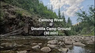 Calm Relaxing River 30 min (Umatilla Forks Campground @ Leavenworth, WA)