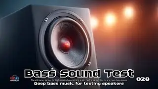 Bass Sound Test 028