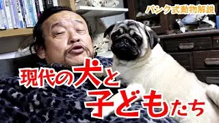 現代の犬と子供たち