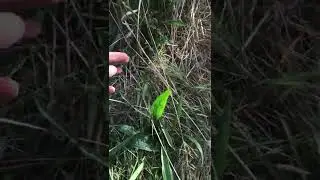 IMG 5891