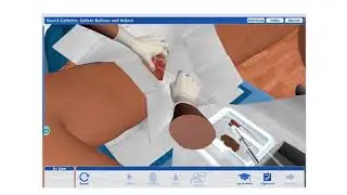 Urinary Catheter - Interactive Virtual Procedure Simulations