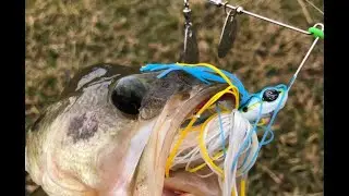 SPRING SPINNERBAIT FISHING