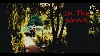 Cinematic Video Panasonic LUMIX GH3 + SIRUI NIGHTWALKER 24mm T1.2 + Blackmagic Video Assist 6G