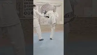 ura mawashi #karatekicks #karate #kickpower