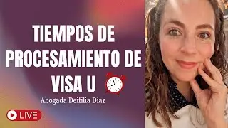 Tiempos de Procesamiento de Visa U