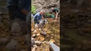 Beating the heat and panning for gold.  #arizona #metaldetecting #panningforgold #arizona
