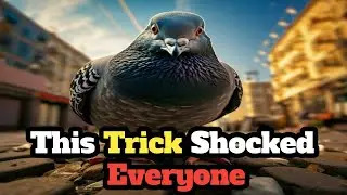 Don&rsquo;t Be Strong, Be Smart &ndash; The Pigeon Story You Must Hear!