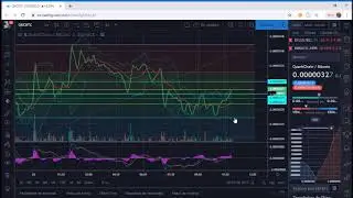Trading con criptomonedas en Vivo - Argentina 2019 - trading