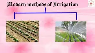 Crop Production and Management || Methods of Irrigation - 2 || Modern methods of irrigation