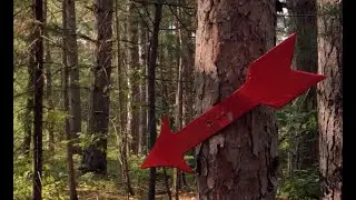 100 Years of Red Arrow Camp | Know Your Wisconsin