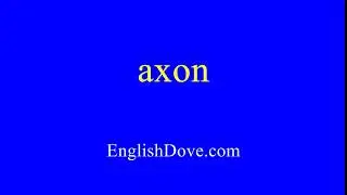 How to pronounce axon in American English.