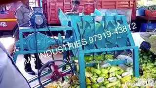 Papaya Cutting Machine | Papaya 2piece Cutting Machine | Papaya Cube Cutting Machine | 97919-43812