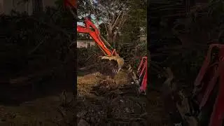 🌳💪Tree Service &bull; Junk Removal &bull; Lawn Care