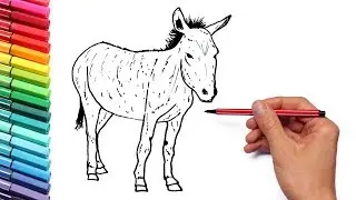 Drawing and Coloring Farm Animals Donkey - Learning Animals Names and sound Color Pages