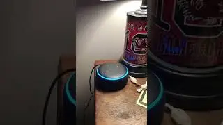 Getting rejected by Alexa