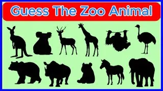 Guess The Zoo Animal by Its Shadow |Shadow Game| Learning Zoo Animals for kids | Fun Zoo Animal Quiz