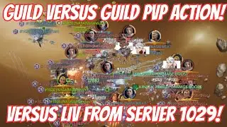 GUILD VERSUS GUILD ACTION!