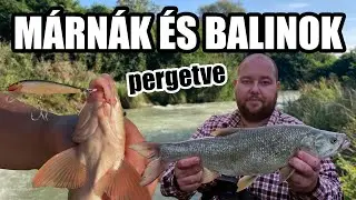 Wobbleres m&aacute;rn&aacute;k &eacute;s balinok - Dimakfishing 30.r&eacute;sz