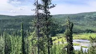 855 km on Alaskan Highway&hellip;8/3