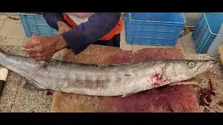 Trevally & Barracuda Fish Cutting & Chopping by Knife/Fastest Barracuda & Trevally Fish Fillet Skill