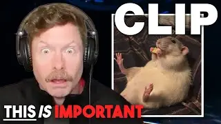 Rat Story | This is Important Podcast