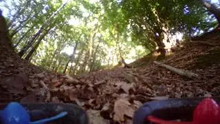 HD TinyWhoop 65mm in the woods !!!! (Cyclops3 + lens mod)
