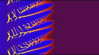 Dendritic solidification in a Fe-0.11C wt% steel