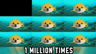 아기상어 상어가족 강아지 리믹스 Dj Dog 1 Million Times