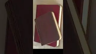&bull; Light Up Your Book Night