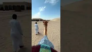 Drift through the golden dunes on a desert safari 🤩