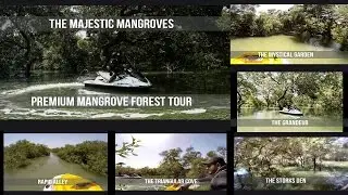 Mangrove Forest Adventure Trips in unmarked, utterly unique Karachi's Attraction
