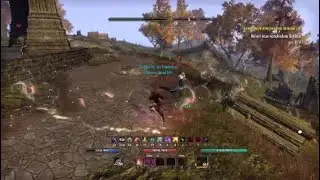 Dizzying Swing NB