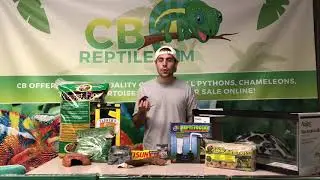 Red Eyed Crocodile Skink | Reptile of the Week for Sale at CBReptile.com!
