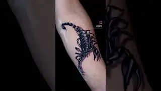 My latest scorpion tattoo reveal! 🦂