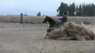 SOLD ** Starlight Command ** Finished Reining Horse