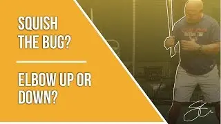 Squish the bug or not? Elbow up or down?