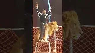 لکی ایرانی سرکس میں شیروں کا آئٹم #luckyiranicircus