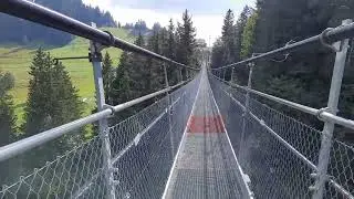 Sattel Mostelberg Skywalk Bridge in 2022