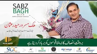 SABZ BAGH | Political Talk | Masroor Usman Advocate General Punjab