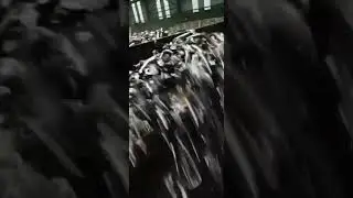 Coal Tar Pitch production processing in our factory workshop