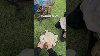 AIRSOFT LAMBY CATCHES FIRE!!