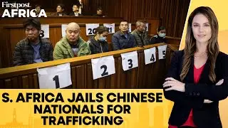 South Africa Jails Chinese Nationals for 20 Years For Trafficking Malawians | Firstpost Africa |N18G
