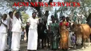 VEDASANDUR ... PROTEST WITH COWS