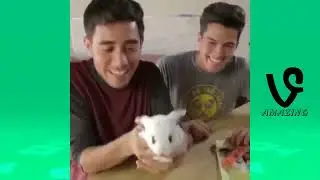 Zach King Vine Compilation!!