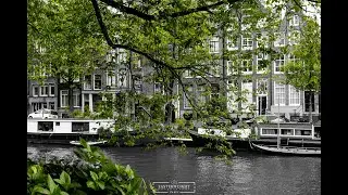 David Bowie - Port Of Amsterdam ( AMSTERDAM 8/2021)